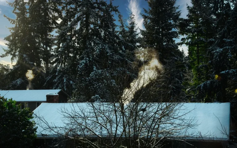 Snow-covered roofs among pine trees near Hermantown, MN